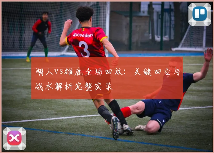 湖人vs雄鹿全场回放：关键回合与战术解析完整实录